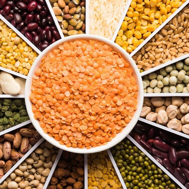 Food Facility Registration